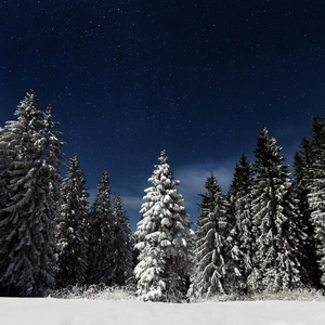 ❌❌❌❌日本人禁漫
